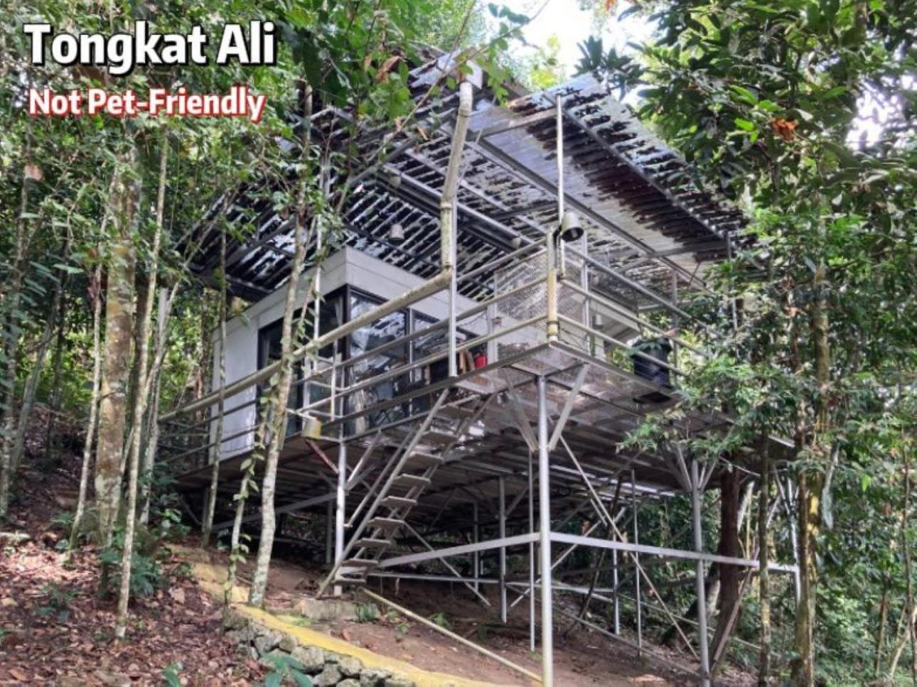 Gibbon Retreat Bentong Hotel Exterior photo