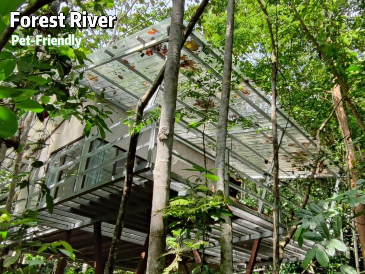 Gibbon Retreat Bentong Hotel Exterior photo